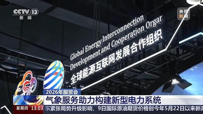 我国数字服务进出口5年扩大近3倍 展现开放发展新趋势