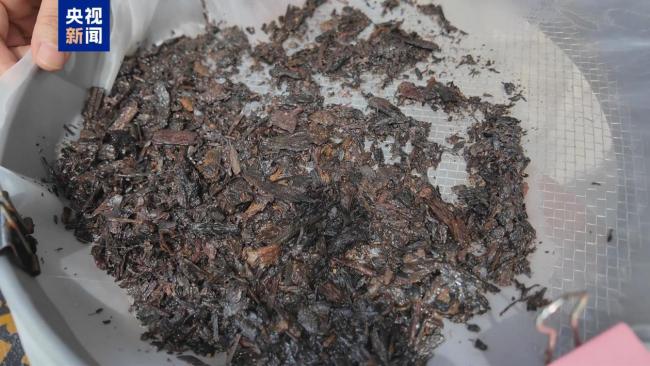 还原古蜀先民饮食结构 金沙遗址考古有了新成果