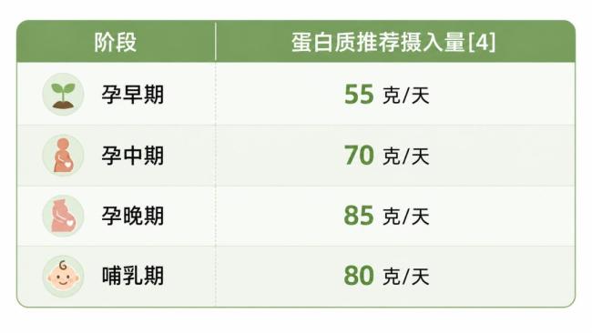 不同人群补充蛋白质该吃哪些食物 科学摄入指南