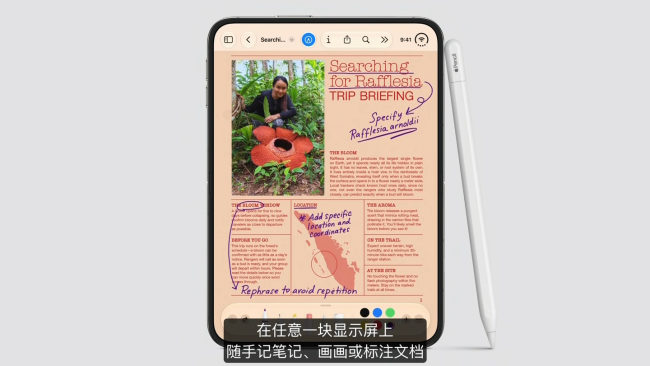 iPhoneDuo手写笔 违背祖训 兼容USB-C版Apple Pencil