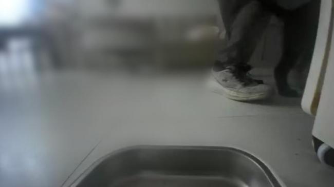小狗叼鞋放摄像头前助破盗窃案 萌宠神助攻