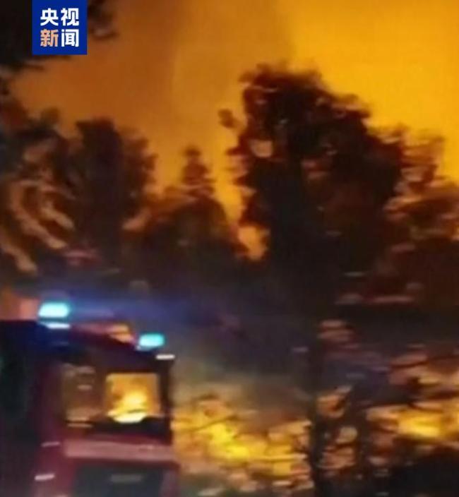 克罗地亚布拉奇岛发生山火 近700人被疏散