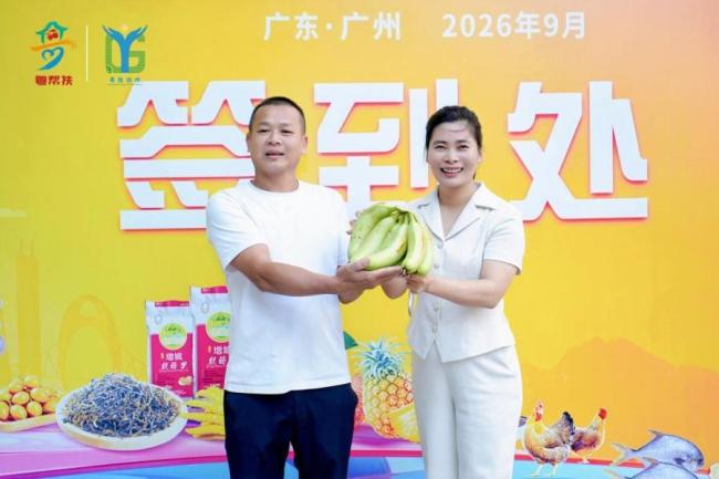 10吨徐闻香蕉免费送广州市民 助农惠民共享丰收