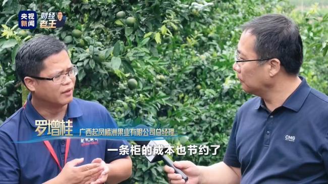 平陆运河能带给西南什么 新机遇与更紧密的连接
