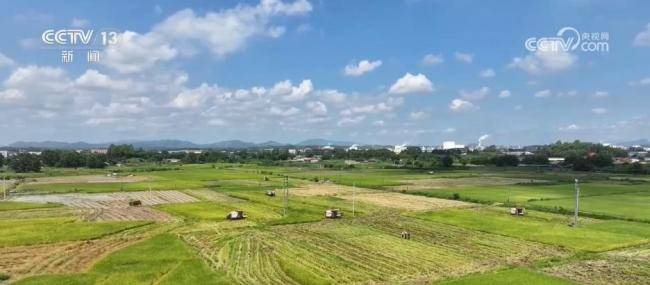 我国将深入实施优质粮食工程