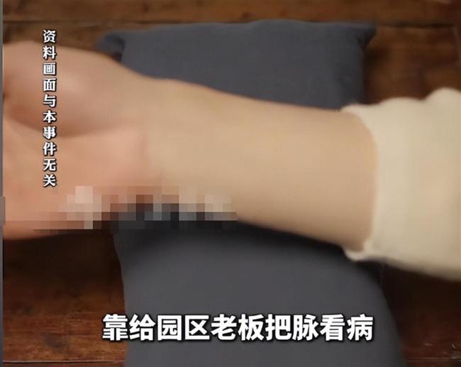 男子称因超龄被当赠品卖进电诈园区 中医技能助其改善处境