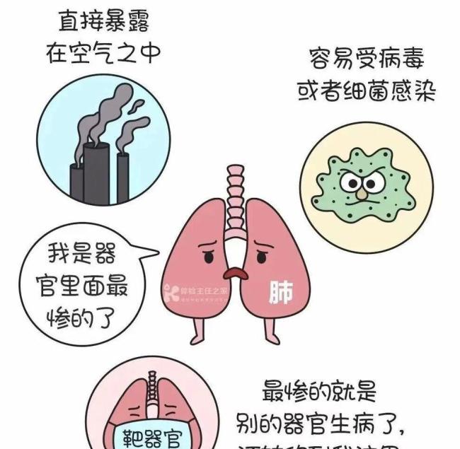 肺癌女性中，98%从不吸烟，钟南山团队回应 二手烟与烹饪油烟成新风险因素