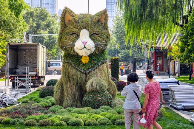 北京日坛公园巨型草猫好萌 吸引游人目光