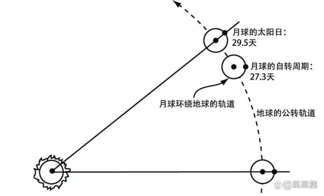 今年最佳赏月时间为何不是十五十六 探索满月奥秘
