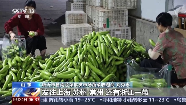 供应充足、价格稳定 双节假期“菜篮子”有保障