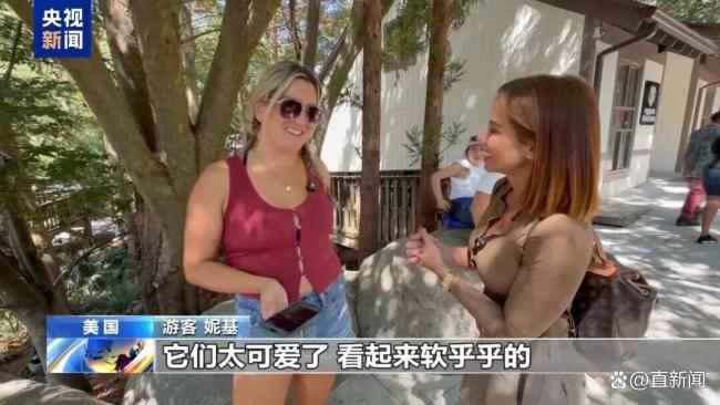 平平福双赴美当地民众激动不已 大熊猫魅力难挡