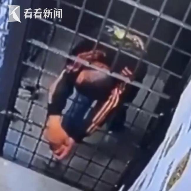 巴西一男子实现不可能越狱 缩骨功般逃脱