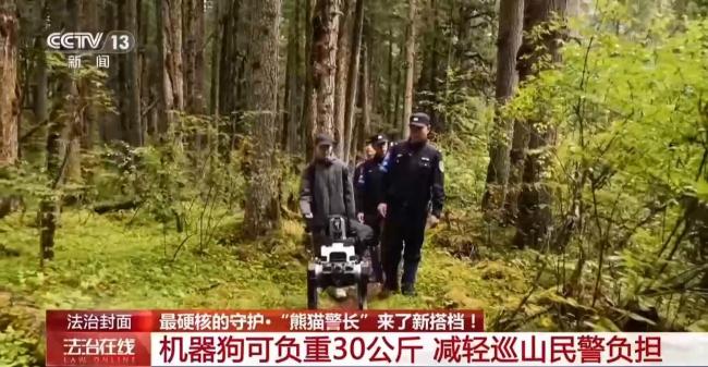 “熊猫警长”有了新搭档 仿生机器狗登场