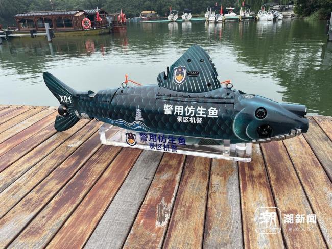 西湖仿生机器鱼正式上岗 智能巡逻填补水下盲区