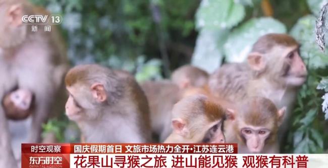 国庆假期去哪玩？各地文旅市场热力全开