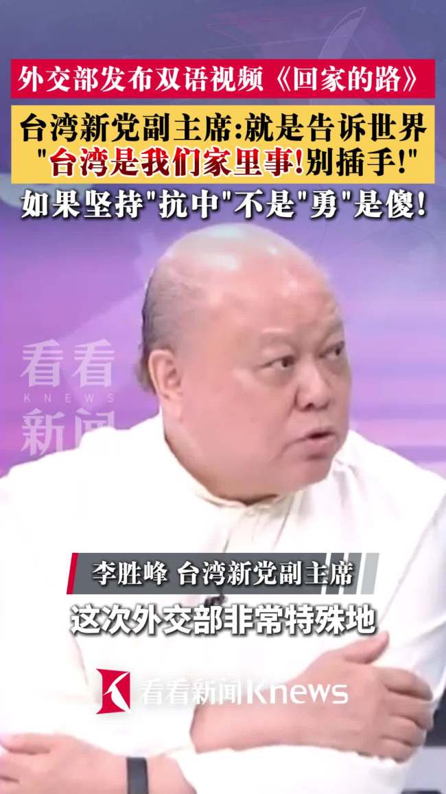 台新党副主席谈《回家的路》