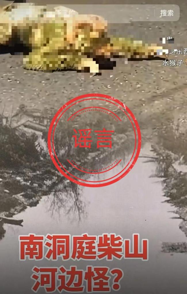 有人被水猴子吸干血？警方辟谣