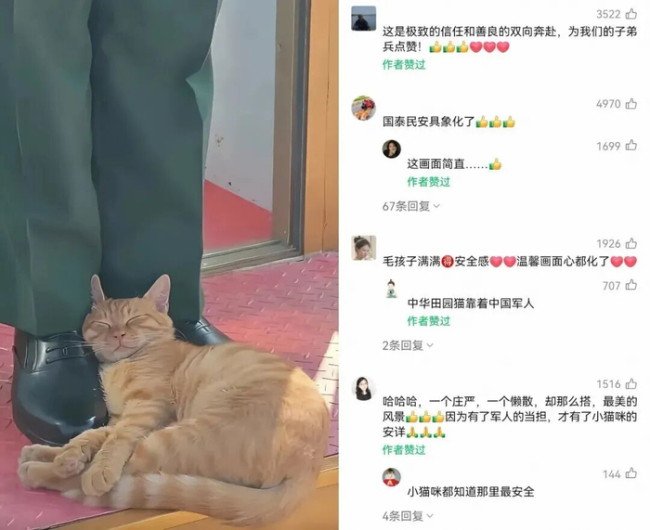 被小猫蹭蹭的天安门哨兵找到了