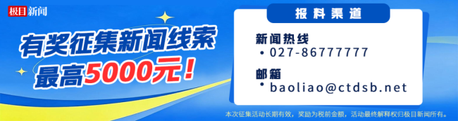 江面漂满白花花的馒头 鱼都快吃吐了 游客过度投喂引关注