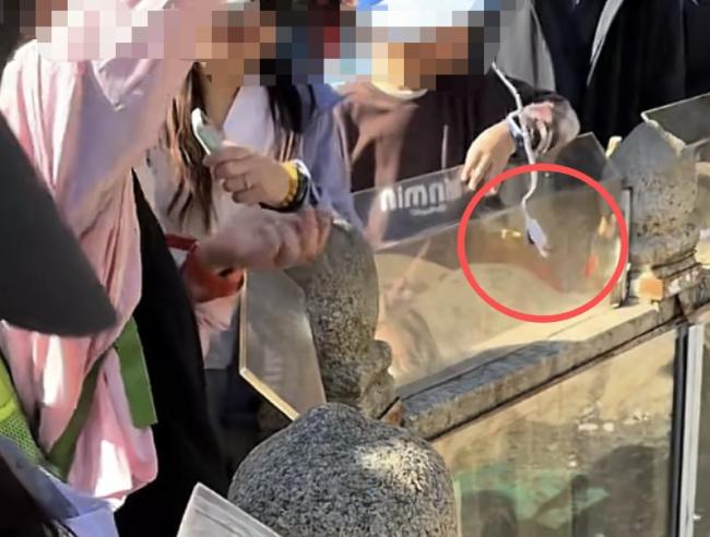 多名孩子用磁铁打捞泰山许愿池内硬币 景区工作人员及时制止