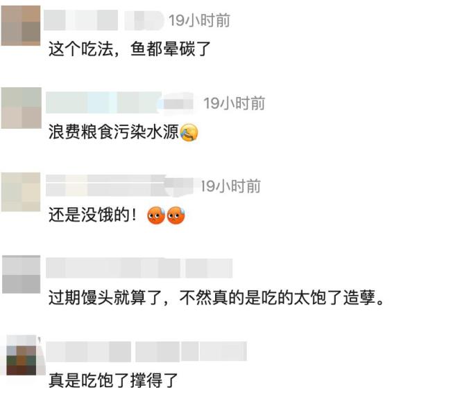 江面漂馒头 观鱼不喂鱼当成游客自觉 网红打卡地的生态警示