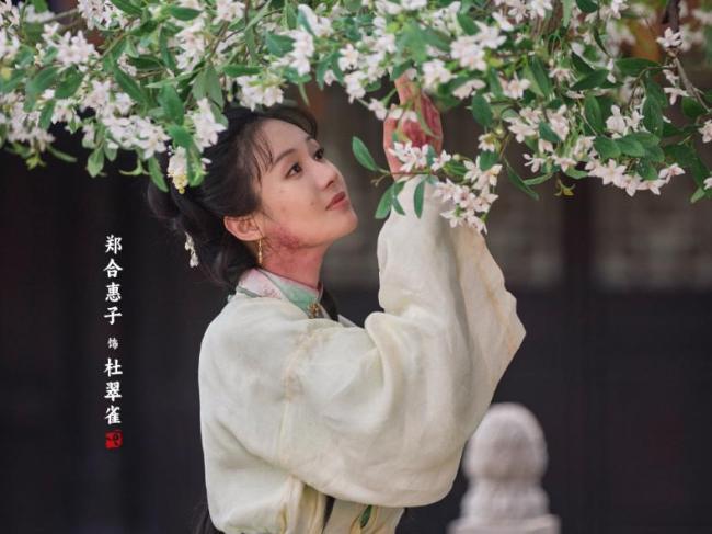 媒体：《兰香如故》离精品差一口气 宅斗剧的半途而废