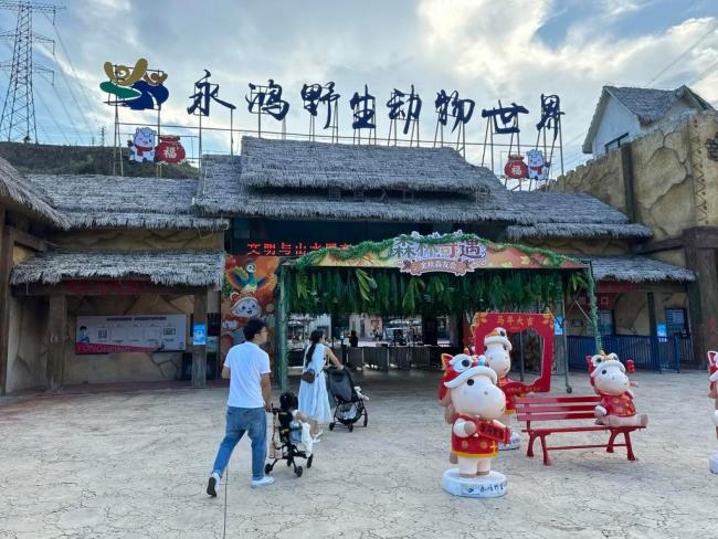 活体投喂为何总有人叫好
