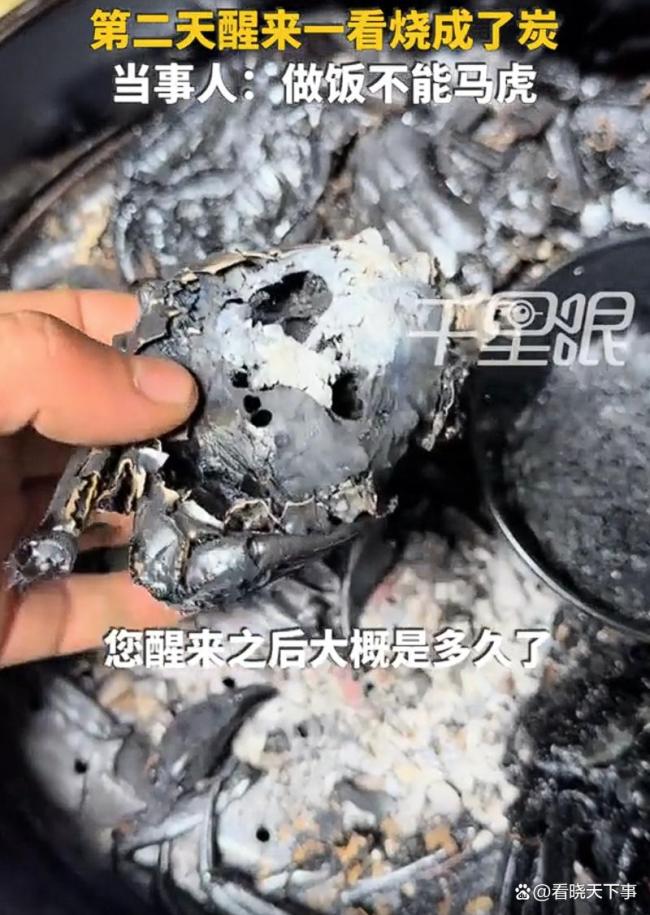 男子睡过头280元大闸蟹被蒸成炭 智能家电下的隐患警示