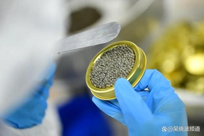国庆街头的一口小吃,竟是一个全球领先的产业 内陆城市的鱼子酱革命