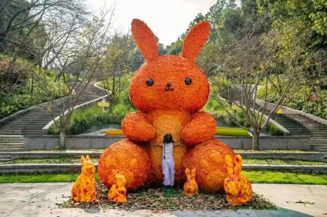 杭州满觉陇迎来赏桂高峰 桂花香引游人如织