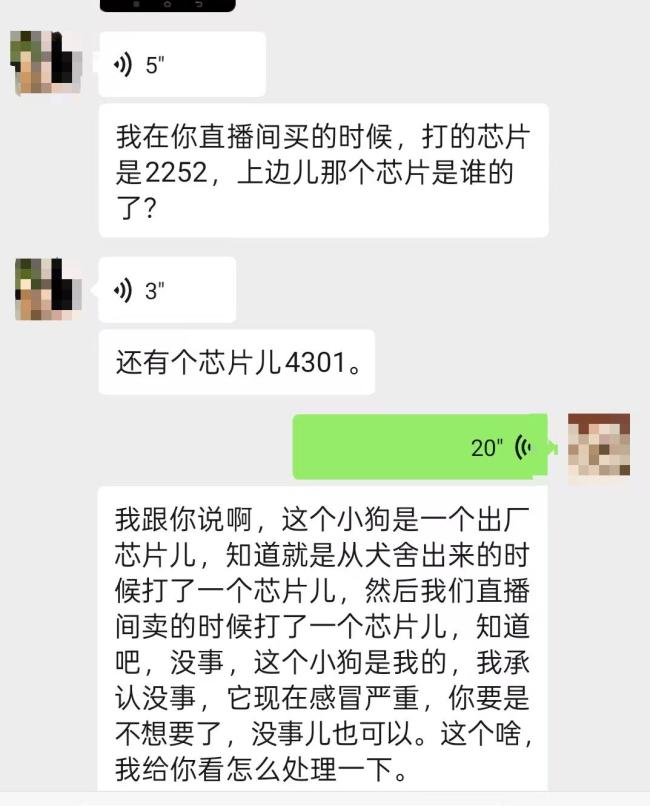 8千元狗仅退款商家驱车600公里寻狗,否认恶意仅退款:声誉受损,将起诉商家