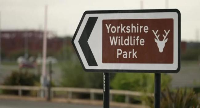 英国一男子闯进虎栏遭老虎袭击 不幸当场身亡