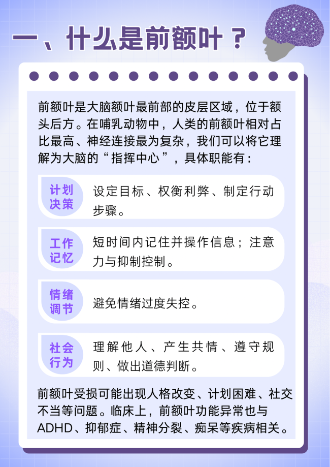 请尊重你的前额叶 了解大脑指挥中心的重要性