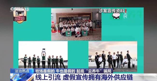 央视起底云养牛骗局 警惕高收益陷阱