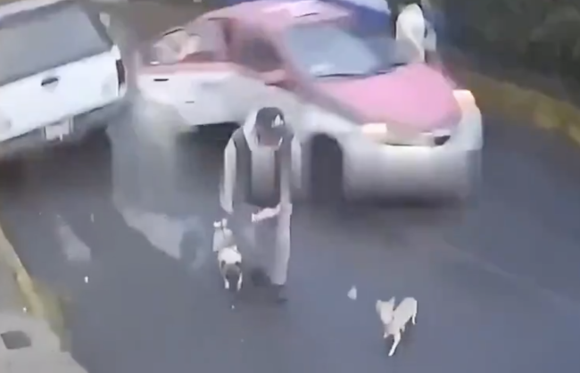 现场：墨西哥女子疑遭抢劫跳车逃生