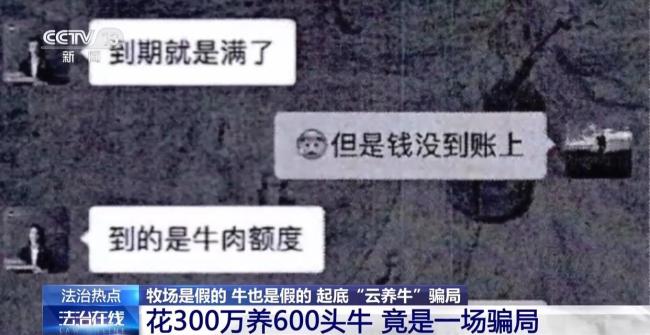 云养牛骗局已致投资者损失4000多万 警惕虚假理财陷阱