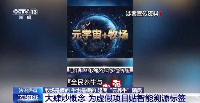 云养牛骗局已致投资者损失4000多万 警惕虚假理财陷阱