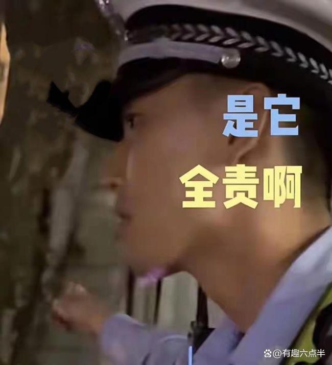 上海一司机撞树喊冤:这棵树长太歪