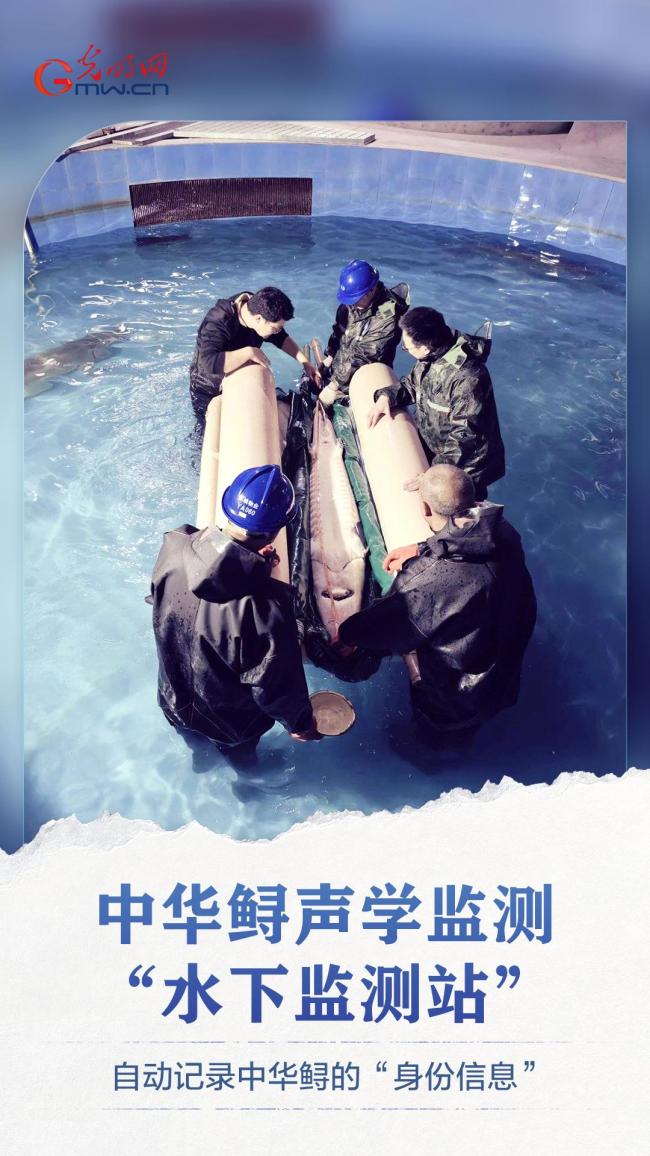 何以中国当惊世界殊 大国重器定义技术标高