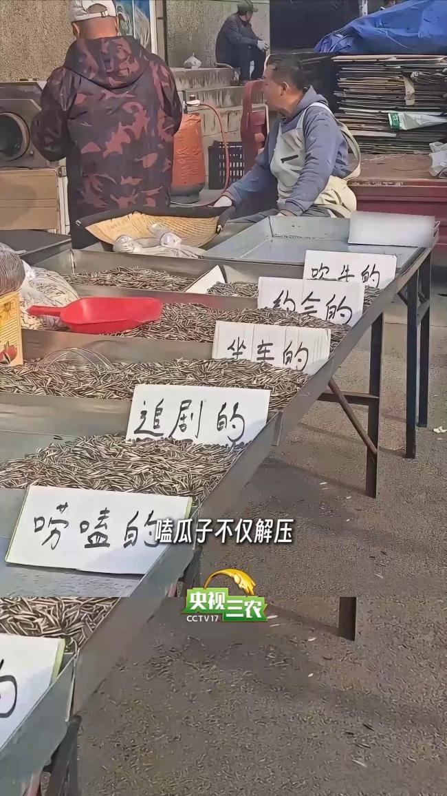 瓜子嗑对好处翻倍