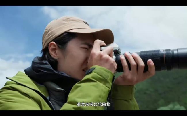 王一博高原蹲守近半个月拍下华北豹 慢下来享受这一刻