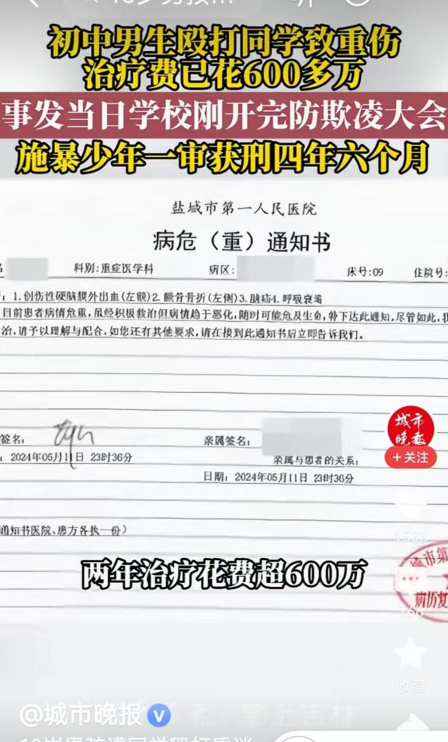 13岁男生遭殴致偏瘫失明,施暴者获刑四年六个月 赔偿与判罚引争议