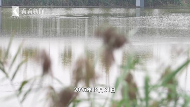 医师无证从业12年回应竟是试用期
