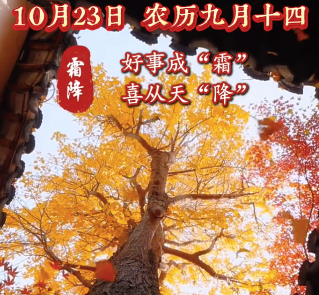 霜降一到好事成双 霜降是秋天在说再见