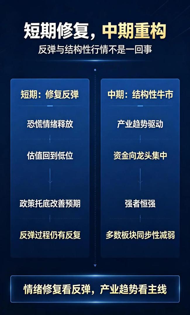 任泽平：市场反弹可以期待 结构性机会显现