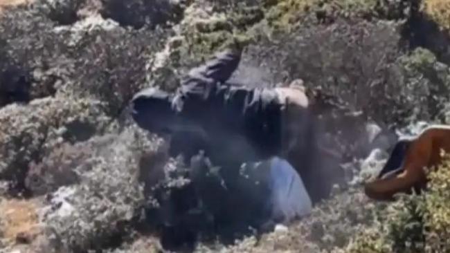 游客因高反失控冲下山坡 痛苦呼喊