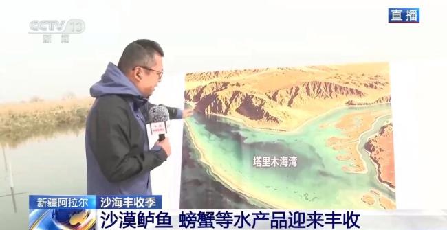 沙漠海鲜又上新了 生蚝丰收喜迎季