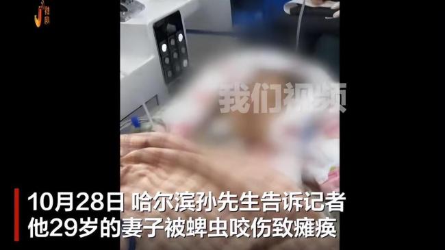 女子被蜱虫咬伤后确诊森林脑炎 ICU救治28天四肢瘫痪