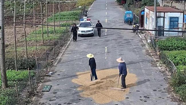 民警邀请2位晒稻谷老人到派出所大院里晒 安全晒场暖人心