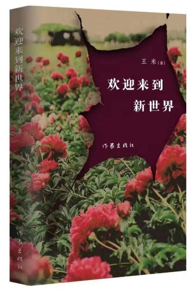 孤独是一门高级的艺术——评青年作家王米《欢迎来到新世界》的心灵力量